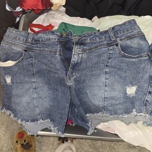 Like new City Chic 18 Harley Mid Rise Shorts